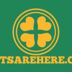 Neil Lennon – This Result Has Been on the Cards