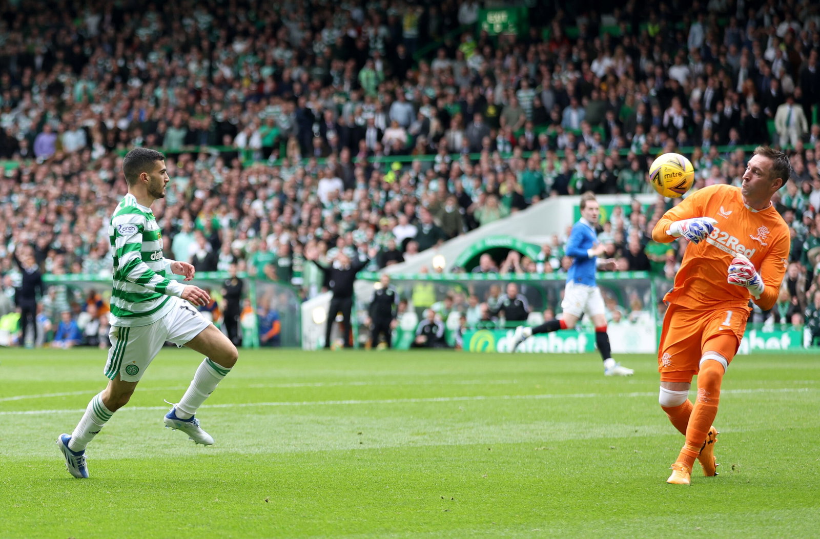 Allan McGregor Liel Abada